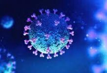 Coronavirus